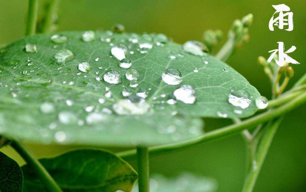 雨水！